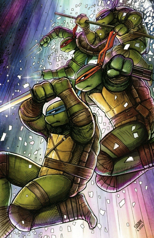 TEENAGE MUTANT NINJA TURTLES #13 1:25 NATHAN SZERDY BLIND BAG EXCLUSIVE
